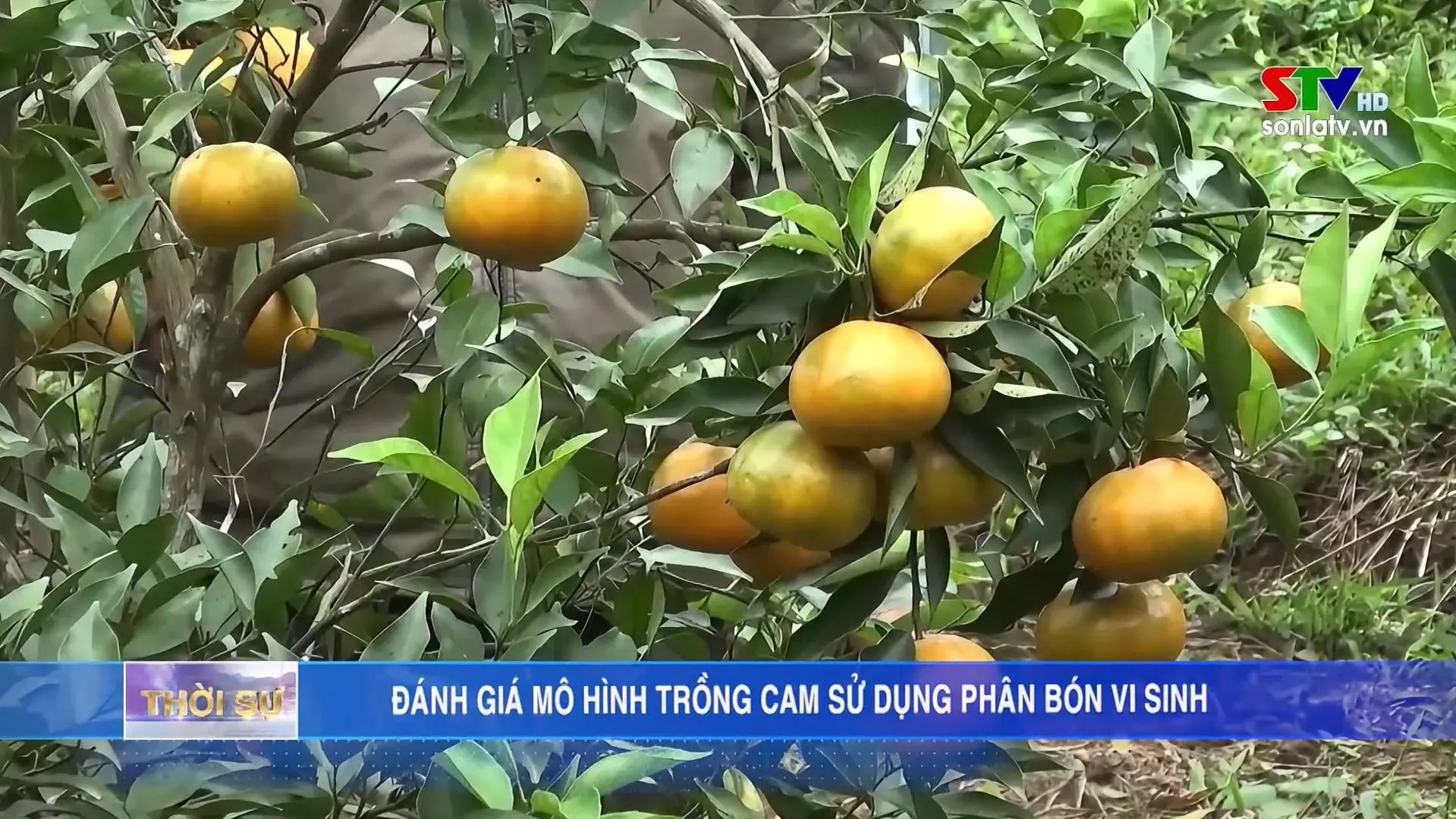 Giới thiệu